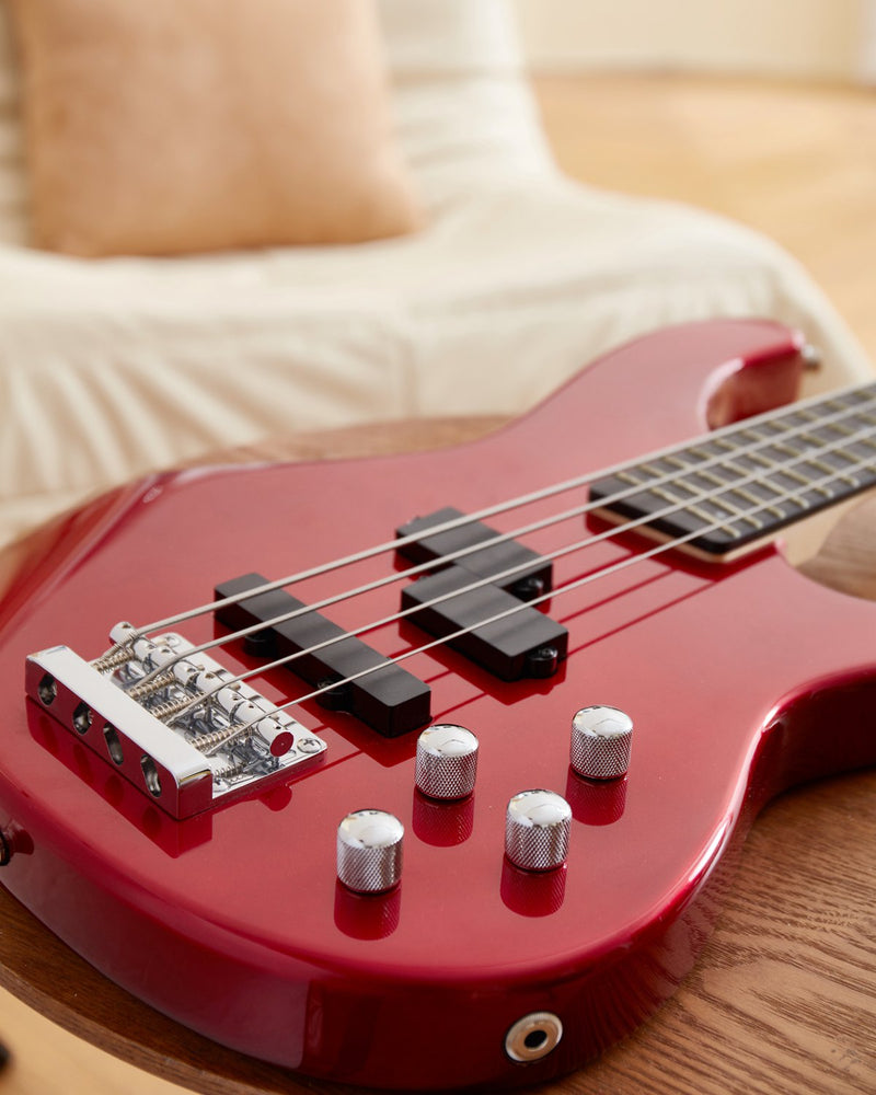 Donner DPJ-100 4-String Electric Bass Guitar Kit Full-Size Standard PJ-Style Bass